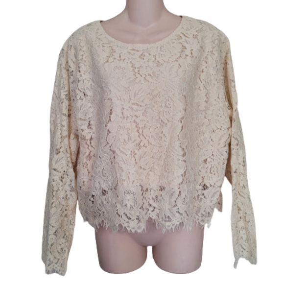Chiciris Beige Short Sleeve Sexy Sheer Mesh Lace Crop Top Blouse Size Women 2X - Picture 4 of 11